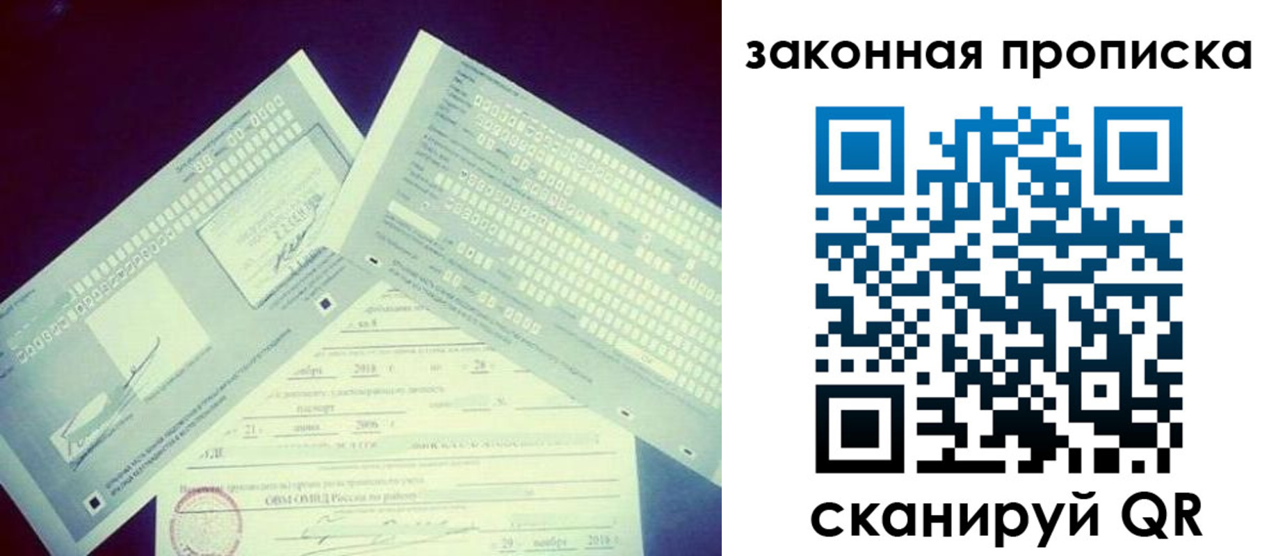 прописка поиск в Калининградской области